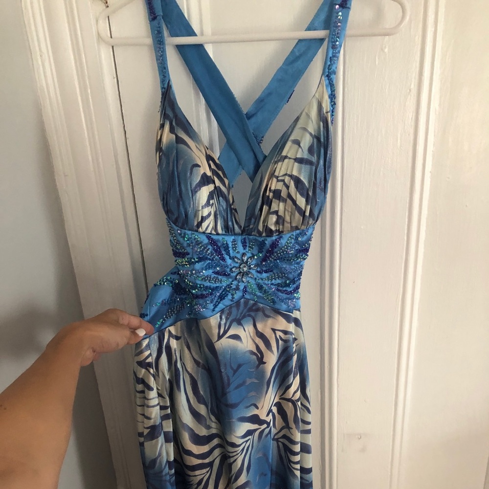 Blue Zebra Print Floor Length Gown Size 6